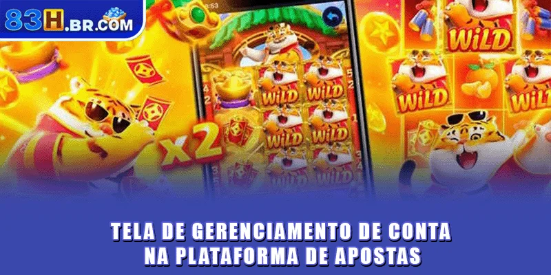 Tela de gerenciamento de conta na plataforma de apostas